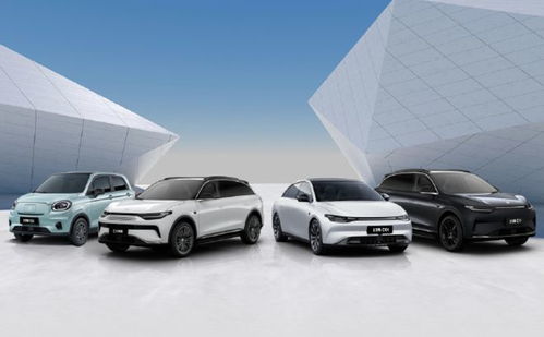 零跑 逼急 經(jīng)銷(xiāo)商