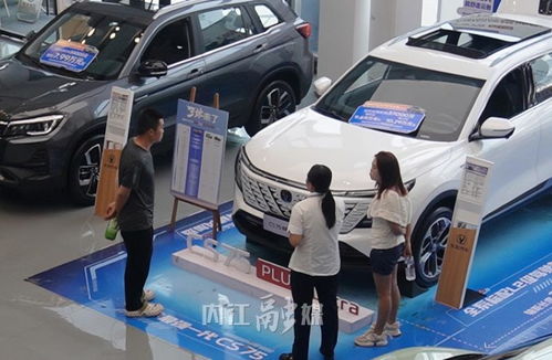 內(nèi)江 汽車 金九 銷售旺